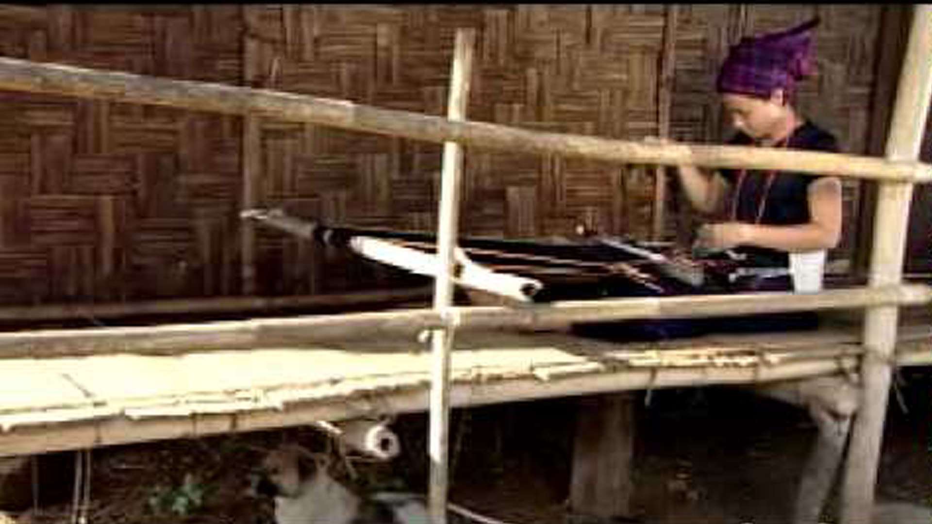 video-section-banner-image